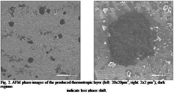 Подпись: Fig. 2. AFM phase images of the produced thermotropic layer (left: 20x20pm2; right: 2x2 pm2); dark regions indicate less phase shift. 