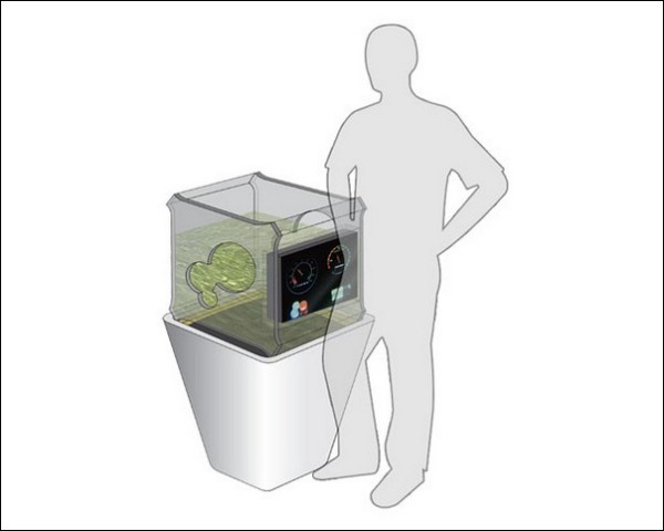 Биореактор для производства биогаза в домашних критериях