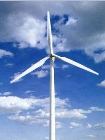 В Мурманской области в первый раз в Рф начато коммерческое внедрение ветровой электроэнергии