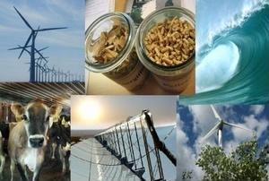 Беллона: климатические решения для нефтегазовой отрасли